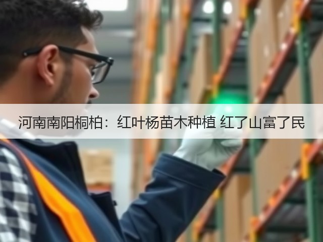 河南南阳桐柏:红叶杨苗木种植 红了山富了民 河南南阳桐柏:红叶杨苗木种植 红了山富了民