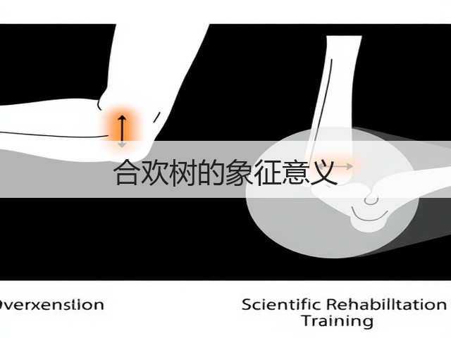 合欢树的象征意义 合欢树的象征意义