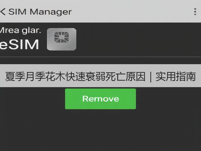 夏季月季花木快速衰弱死亡原因|实用指南 夏季月季花木快速衰弱死亡原因|实用指南