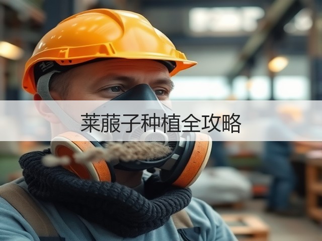 莱菔子种植全攻略
