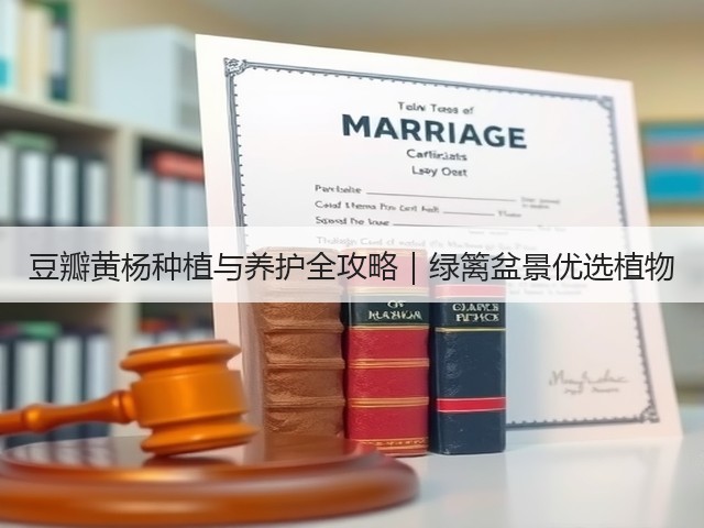 豆瓣黄杨种植与养护全攻略｜绿篱盆景优选植物