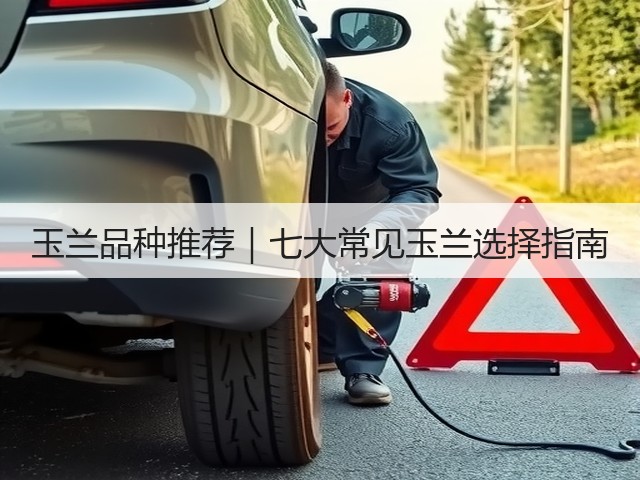 玉兰品种推荐｜七大常见玉兰选择指南