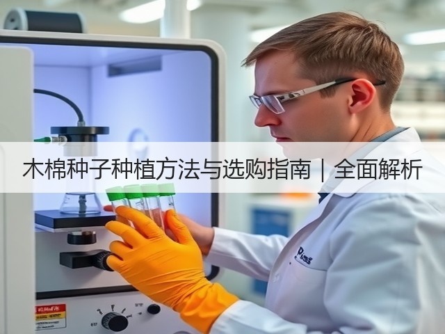 木棉种子种植方法与选购指南｜全面解析